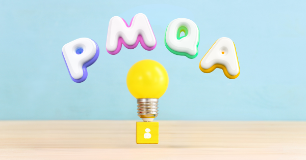pmqa V1